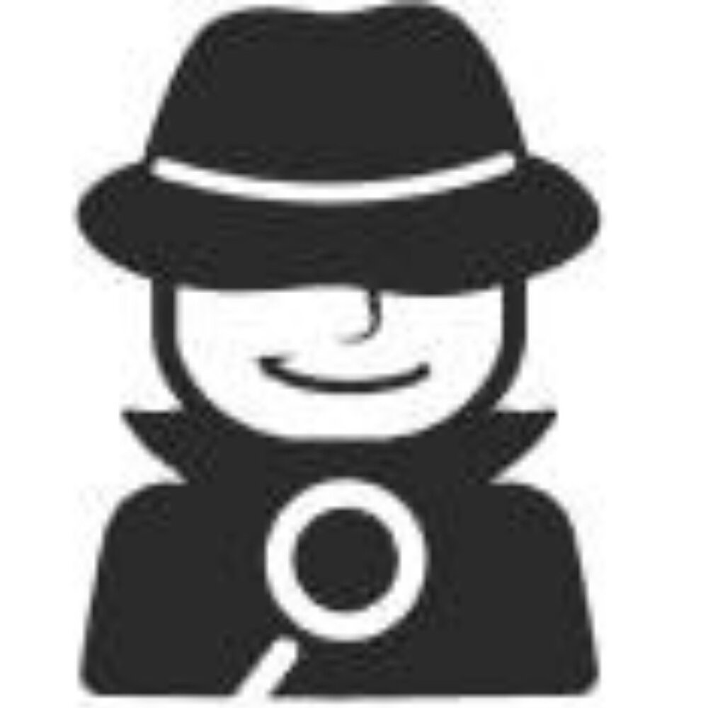 Charlee Collective COA Certification – Authentic Detective Verified - Picture 2 of 2